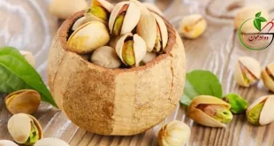 پسته تازه ، خام ، بوداده و خواص آنها